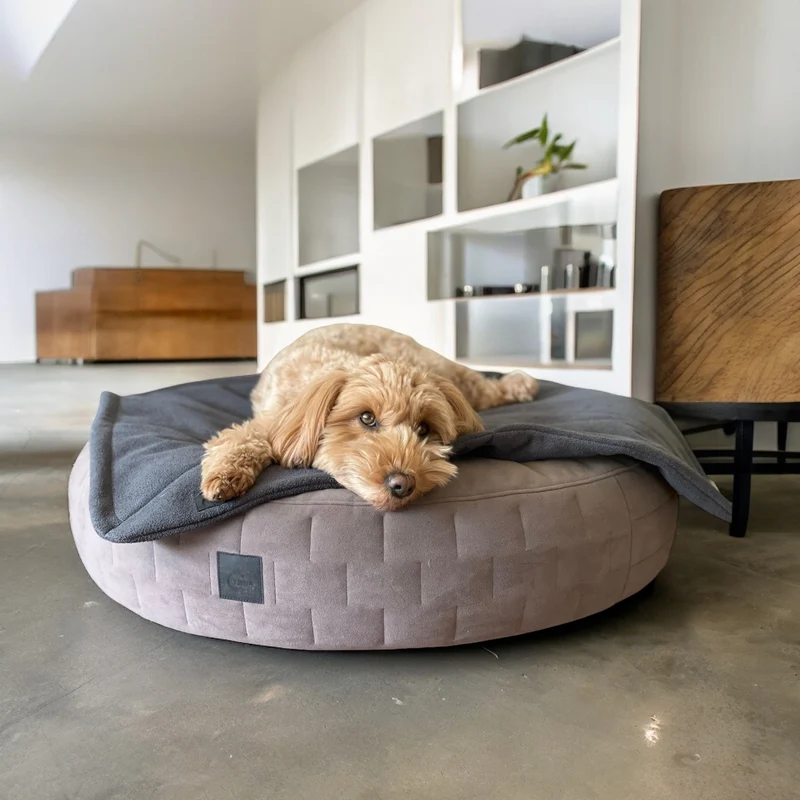 Hundedecke Sumi | Cozy Terry