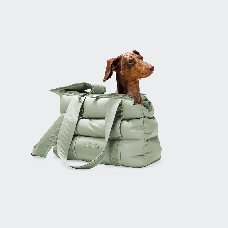 Hundetasche Montreal 2.0 Dusty Mint