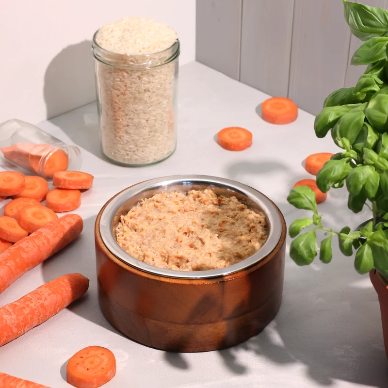 Bio-Diätfutter bei Lebererkrankungen für Hunde