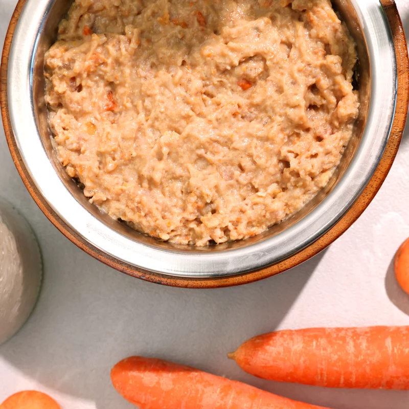 Bio-Diätfutter bei Lebererkrankungen für Hunde
