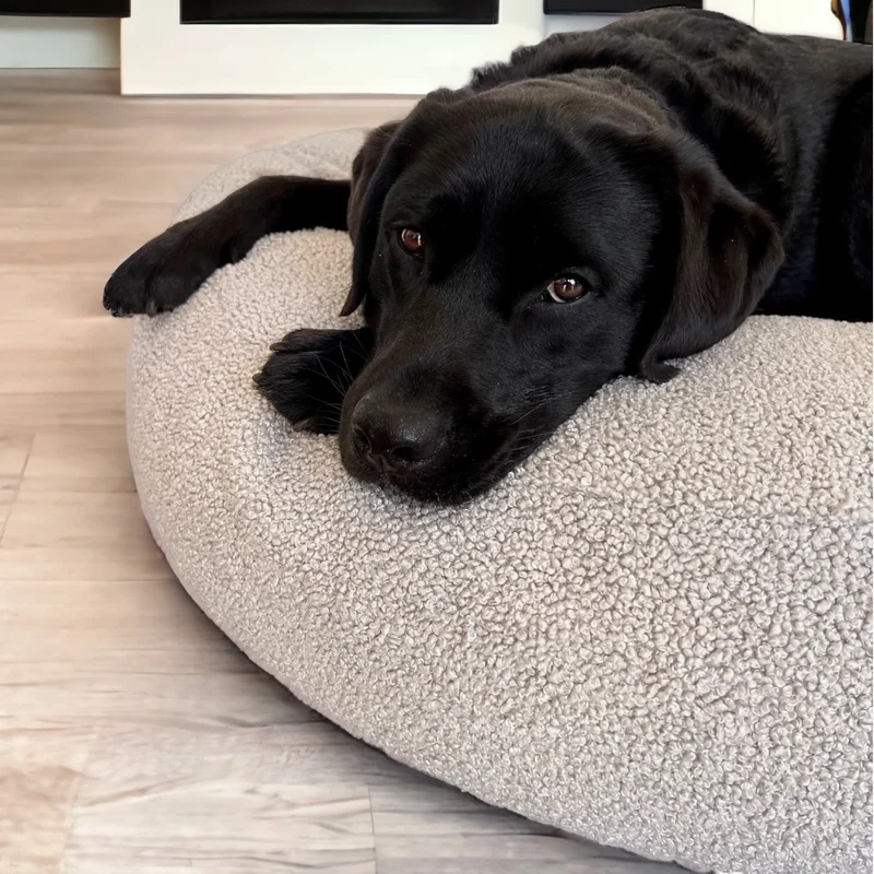 Hundebett Yuki | Cuddly Teddy