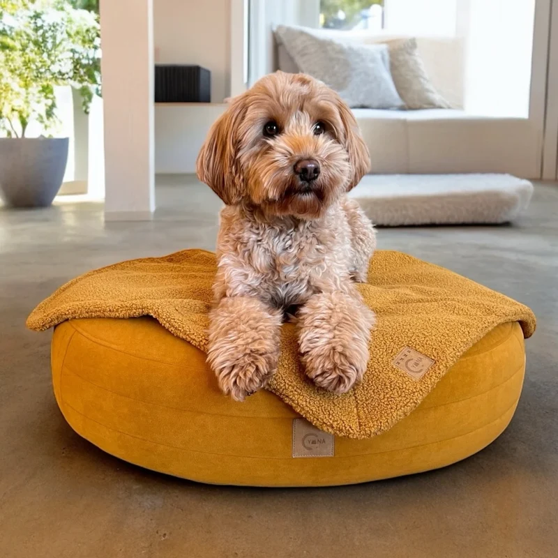 Design Hundebett Yumi | Cozy Velours