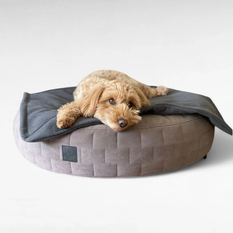 Design Hundebett YUNA© | Cozy Velours