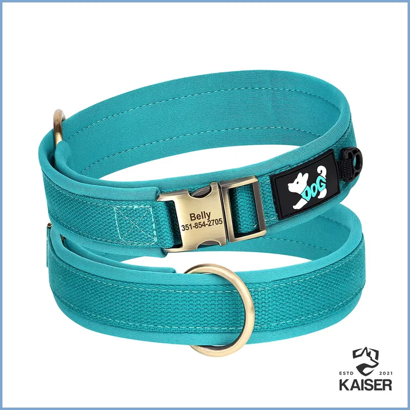 Nylon Hundehalsband mit Namen gepolstert