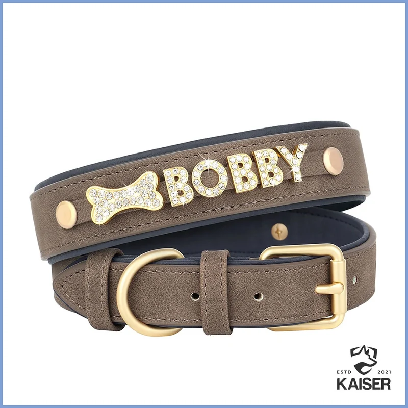 Hundehalsband mit Buchstaben