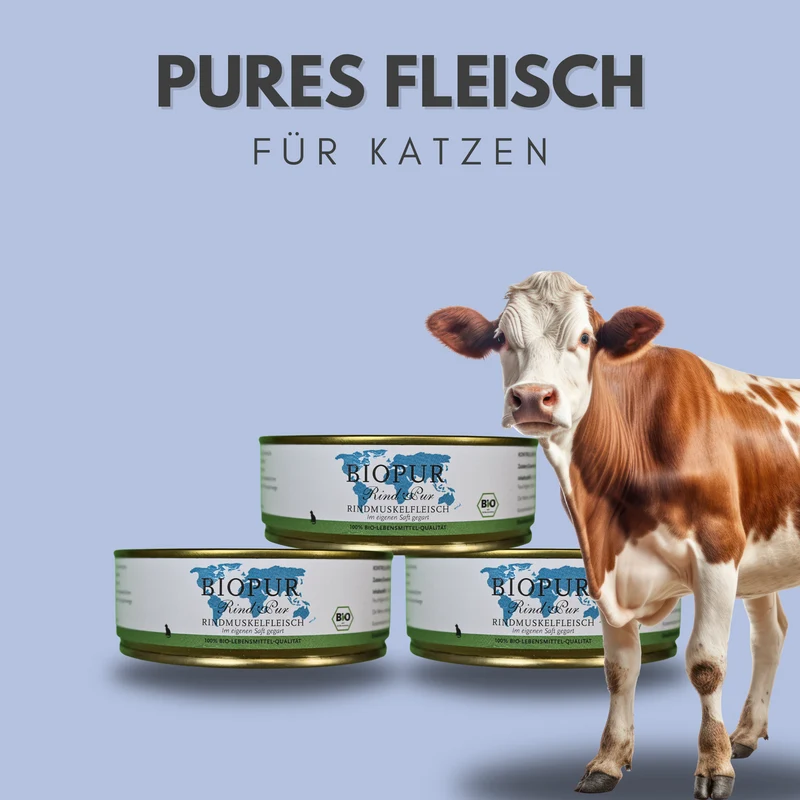 Rind pur Rindmuskelfleisch für Katzen