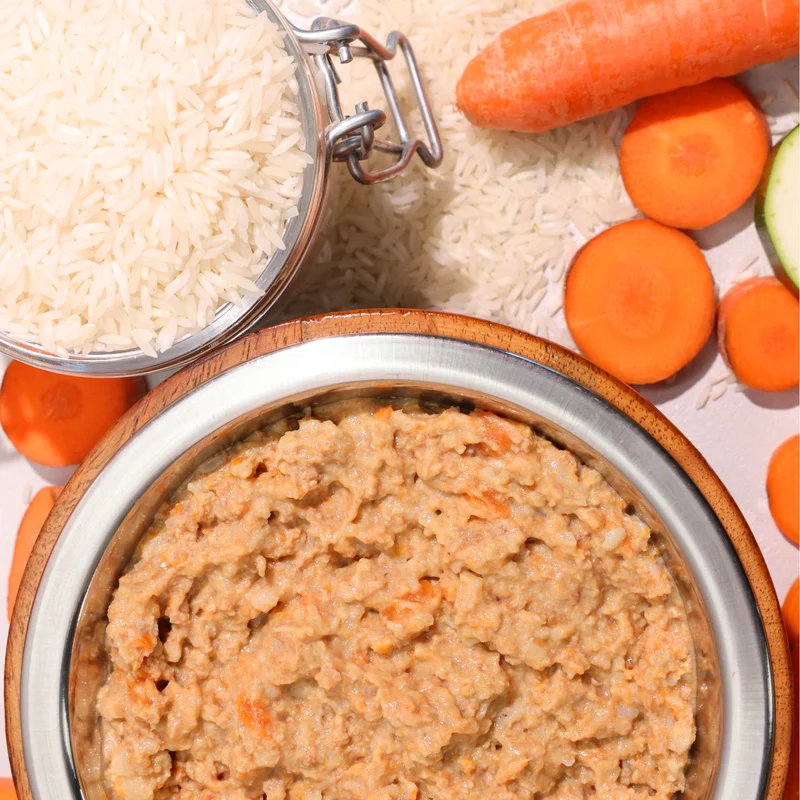 Bio-Diätfutter bei Herz-Erkrankungen für Hunde