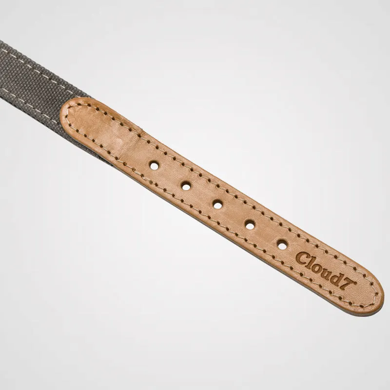 Cloud7 - Halsband Tivoli | Hundehalsband