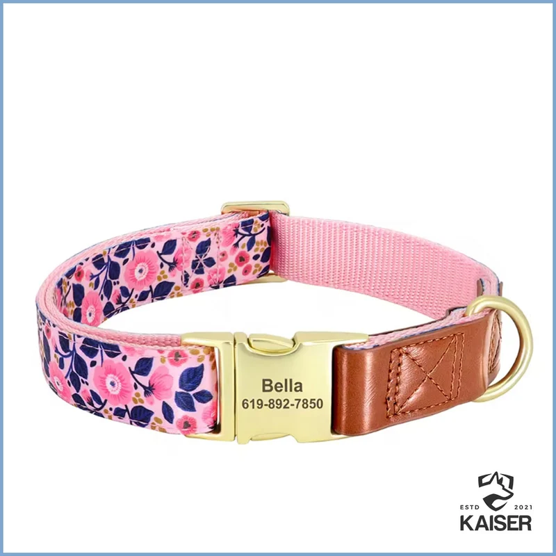 Personalisiertes Hundehalsband aus Nylon mit Klickverschluss