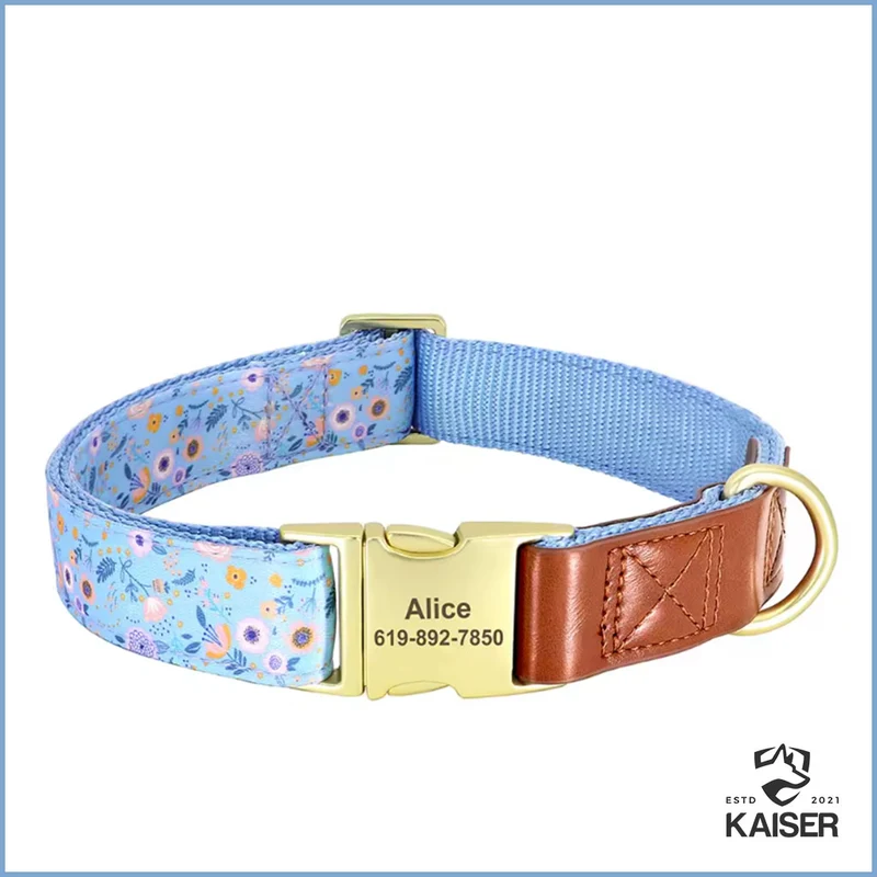 Personalisiertes Hundehalsband aus Nylon mit Klickverschluss