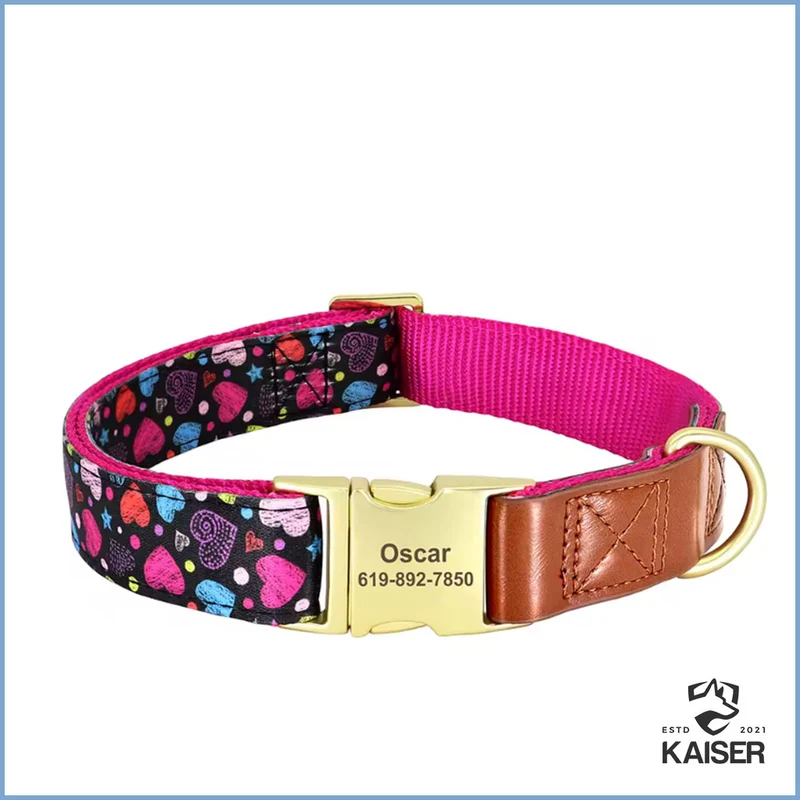 Personalisiertes Hundehalsband aus Nylon mit Klickverschluss
