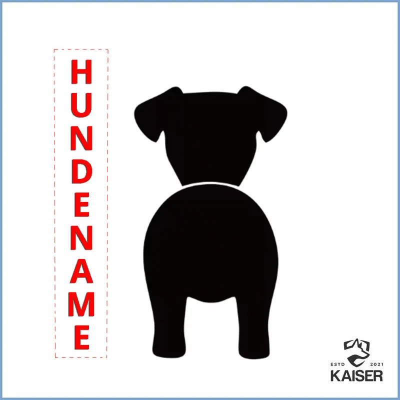 Hundeleinen Halter personalisiert