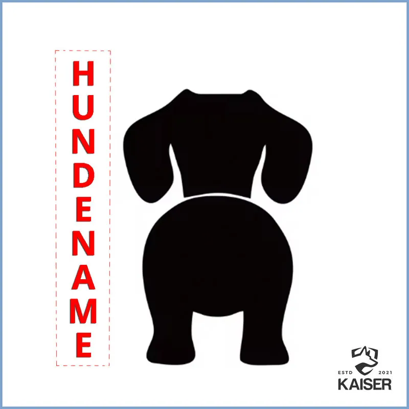 Hundeleinen Halter personalisiert