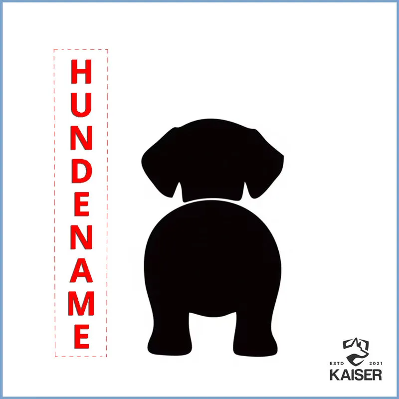 Hundeleinen Halter personalisiert