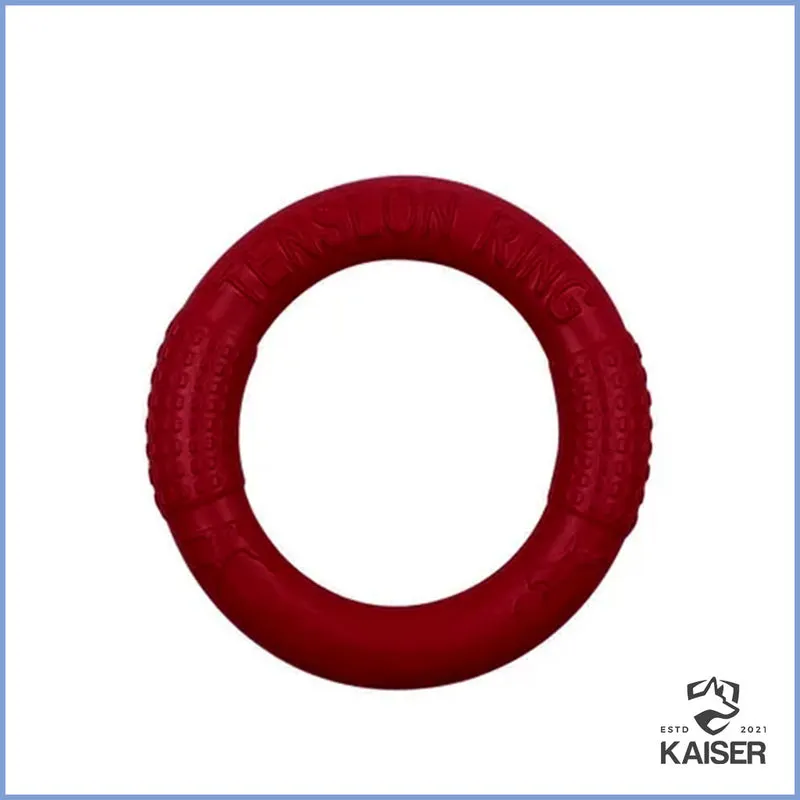 Hundespielzeug Ring