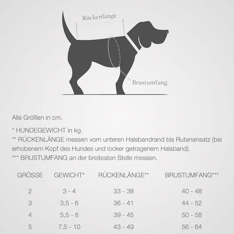 Cloud7 - Dackelmantel Hamburg | Regenmantel für Dackel