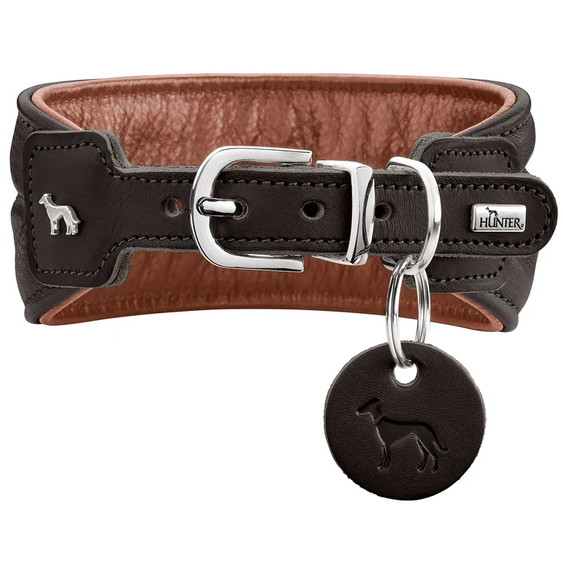 ARVIKA Set Halsband & Leine | schwarz