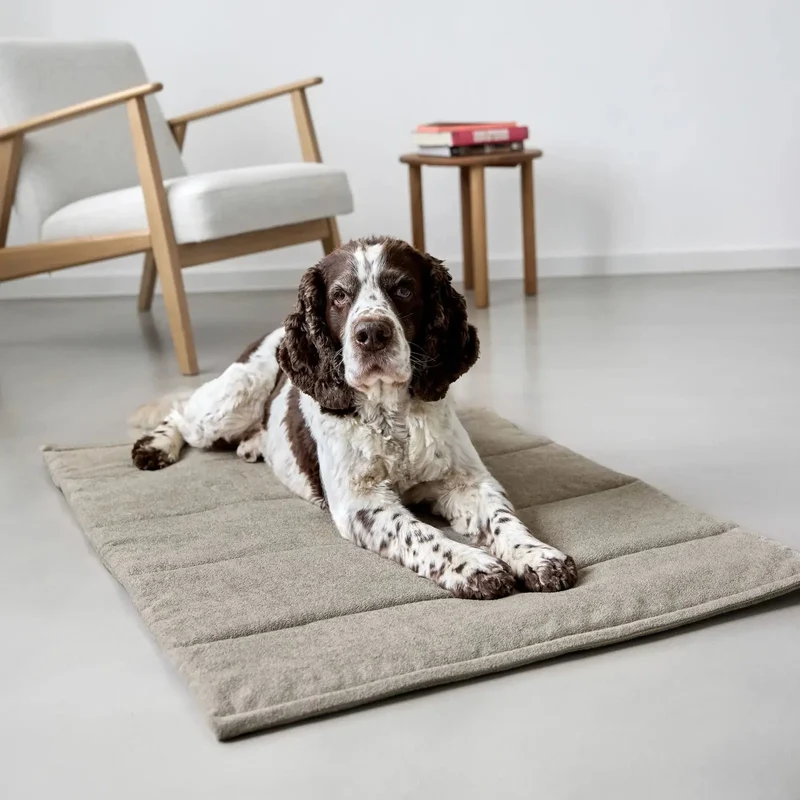 Hundematte Alma Rosé