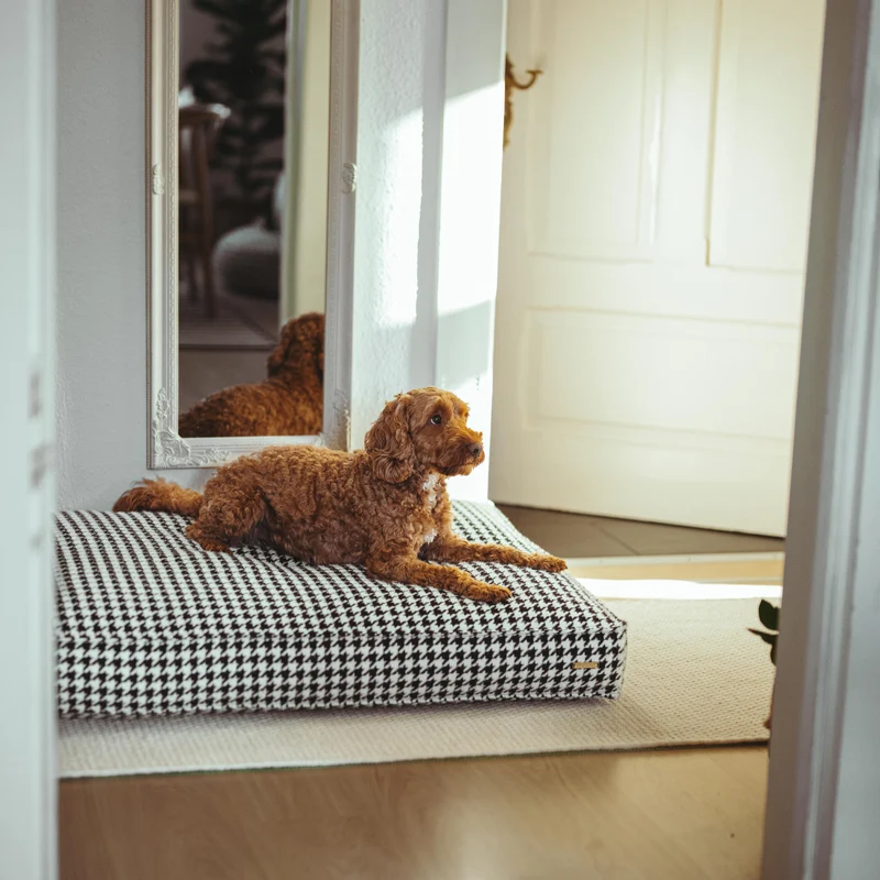 Hundekissen Coco 03