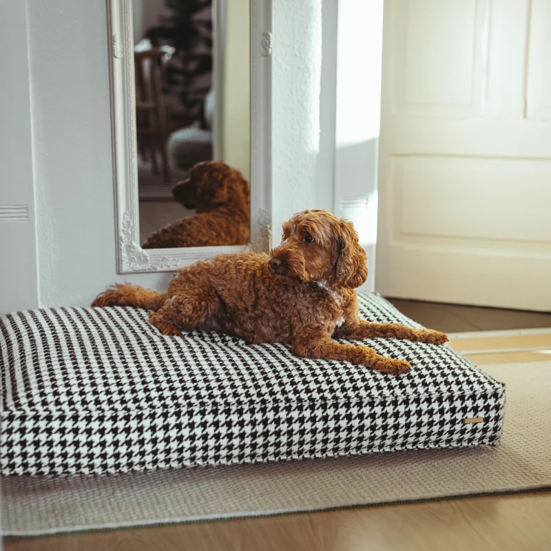 Hundekissen Coco 03
