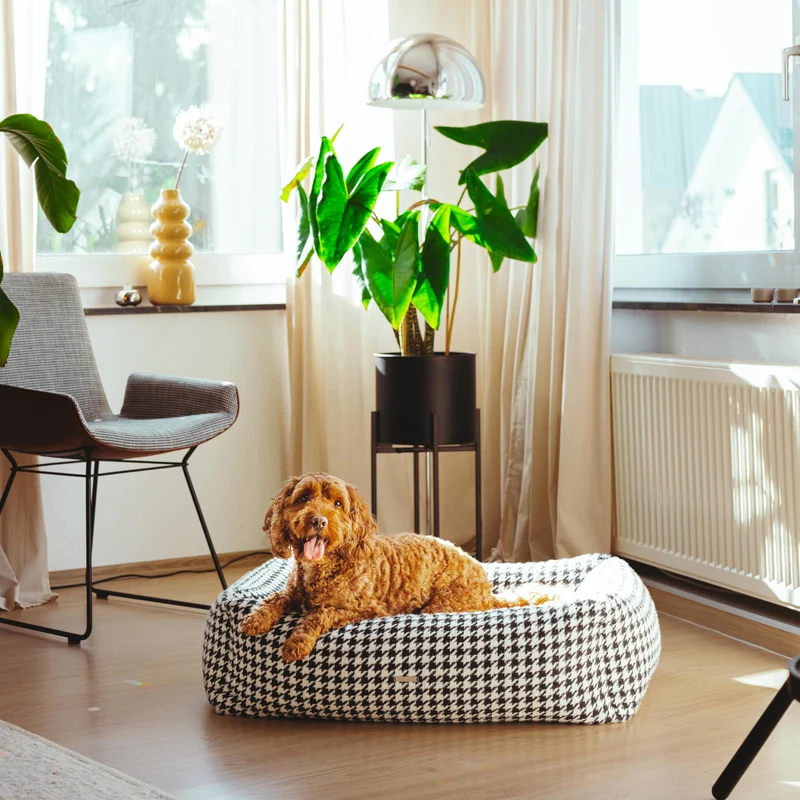Hundebett Coco