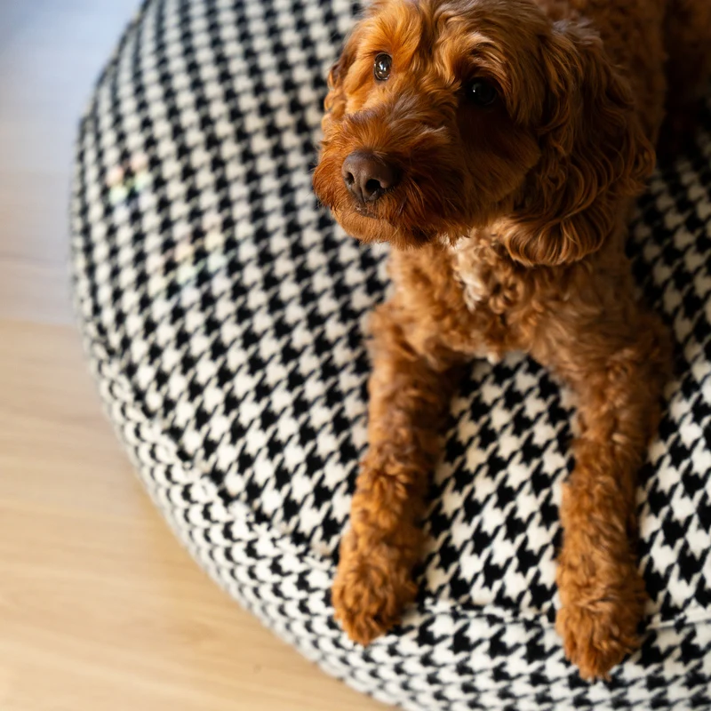 Hundekissen Coco 02