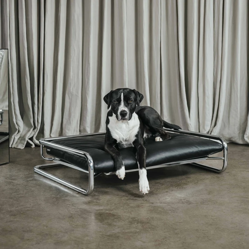 ENIF - Design Hundebett Chrom