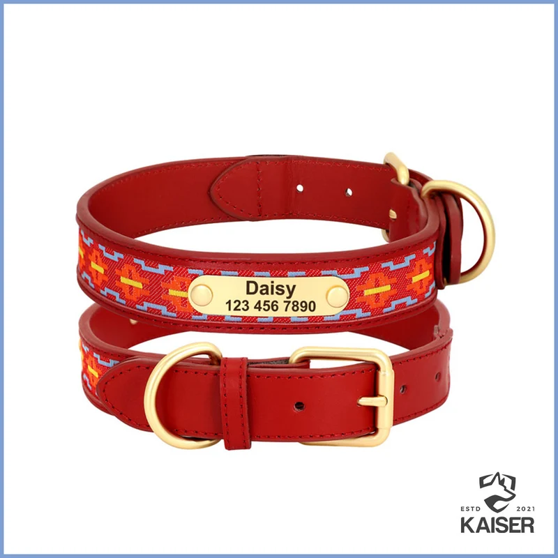 Hundehalsband bunt mit Namensschild