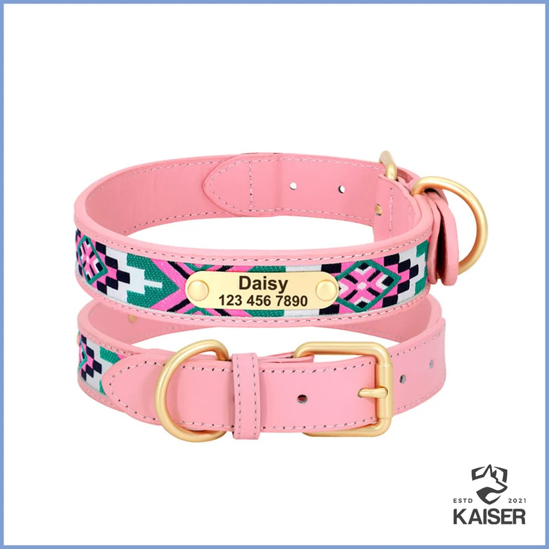 Hundehalsband bunt mit Namensschild