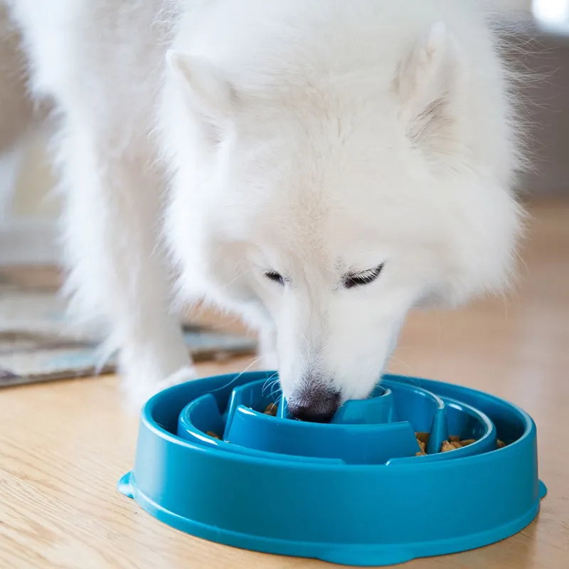 Outward Hound - FUN FEEDER SLO BOWL LARGE | Antischlingnapf für Deinen Hund