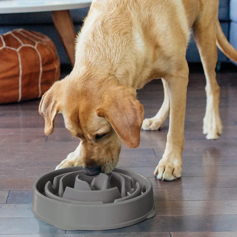 Outward Hound - FUN FEEDER SLO BOWL MEDIUM | Antischlingnapf für Deinen Hund