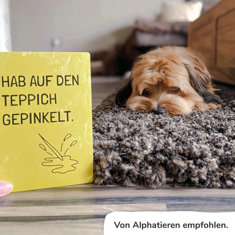 Pihu - Ehrliche Meilensteine HUND | freche Sprüche auf 30 Karten