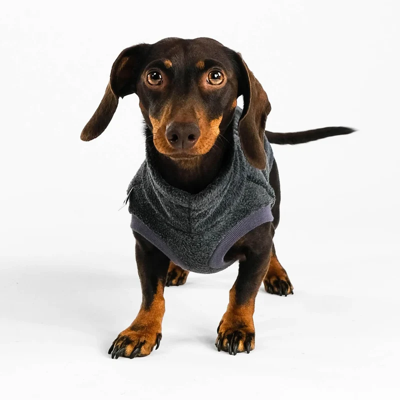 Fleece Shirt für Dackel Anthrazit