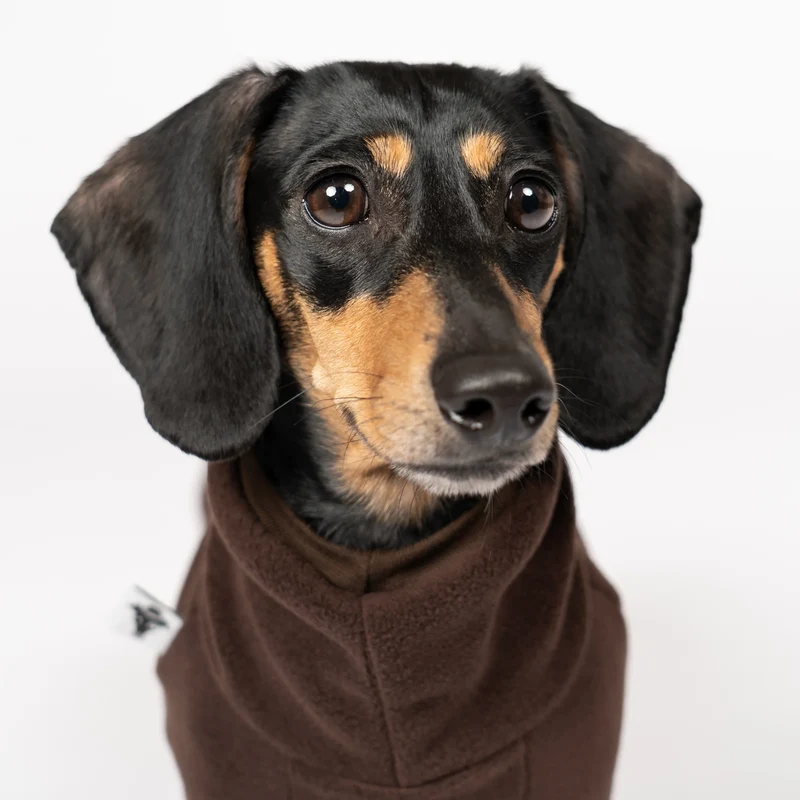Fleece Overall für Dackel Dunkelbraun