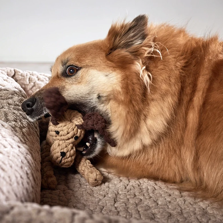 Hundespielzeug Doggy Dog
