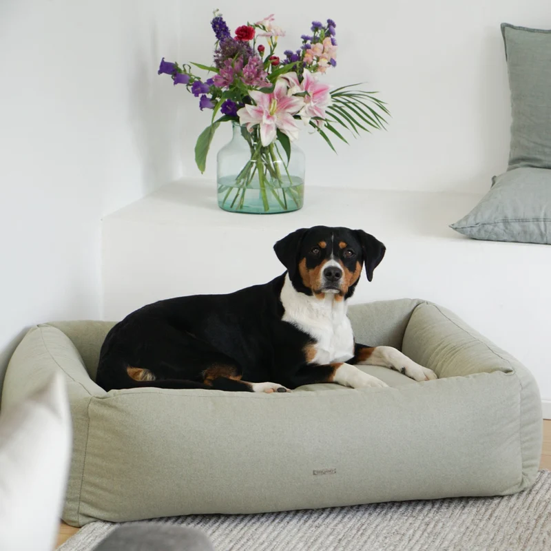 Hundebett Contar