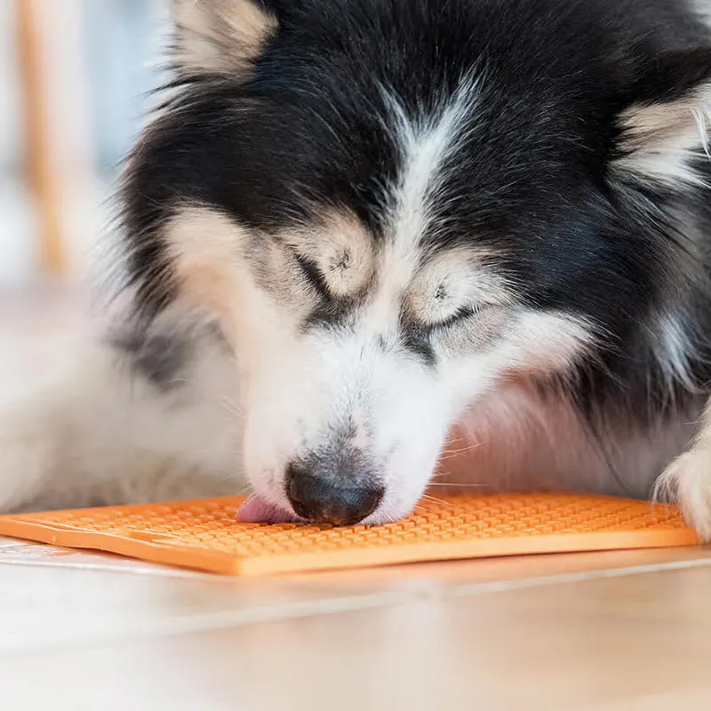 LickiMat - BUDDY LARGE | beruhigende Leckmatte für Deinen Hund
