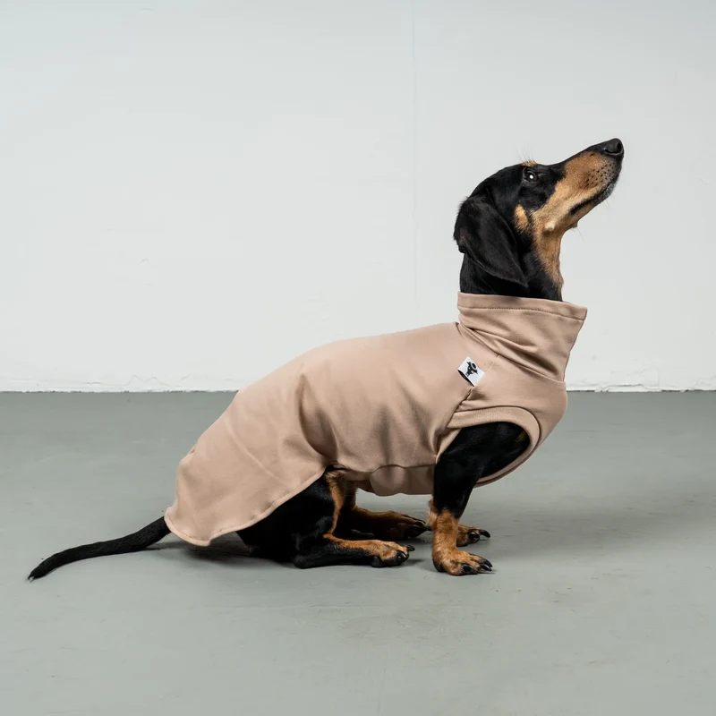Cotton Shirt für Dackel Puder Beige