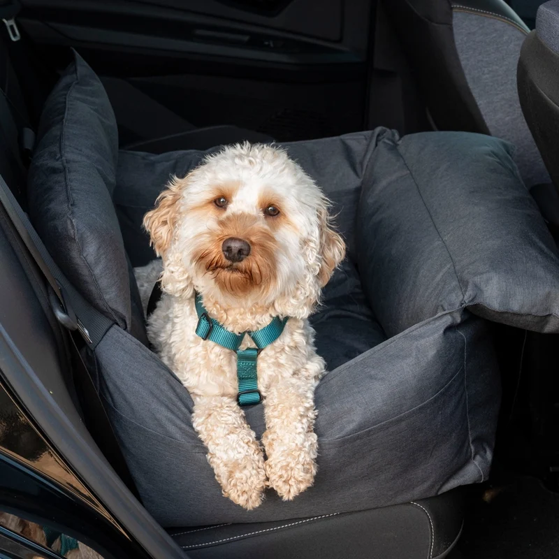 Hundeautositz Anthrazit