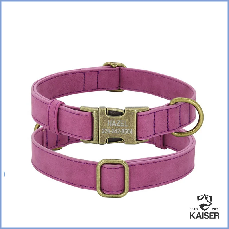 Hundehalsband Leder mit Namen