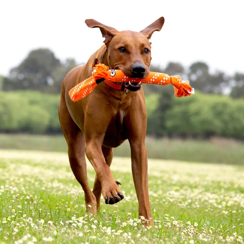 ROGZ - Scrubz | lustiges und interaktives Spielzeug für Deinen Hund