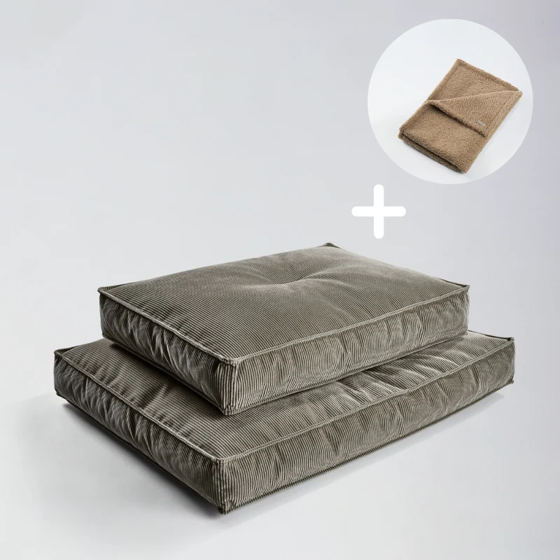 Bundle Hundekissen Leia x Decke Rubi