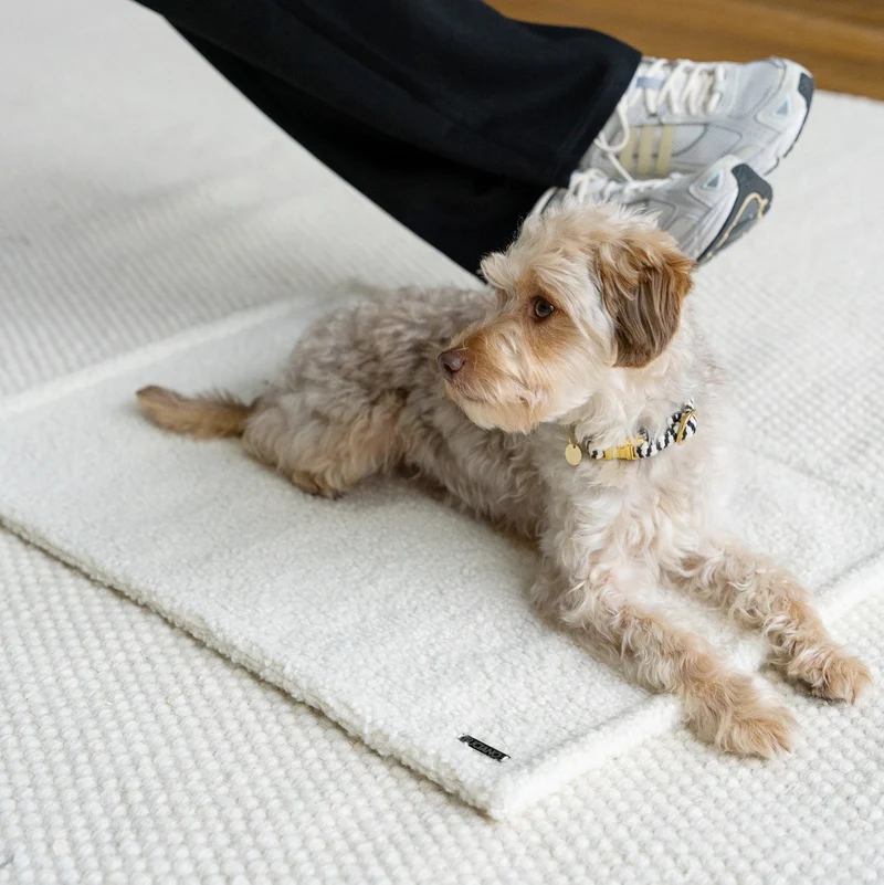 Hundedecke Rubi