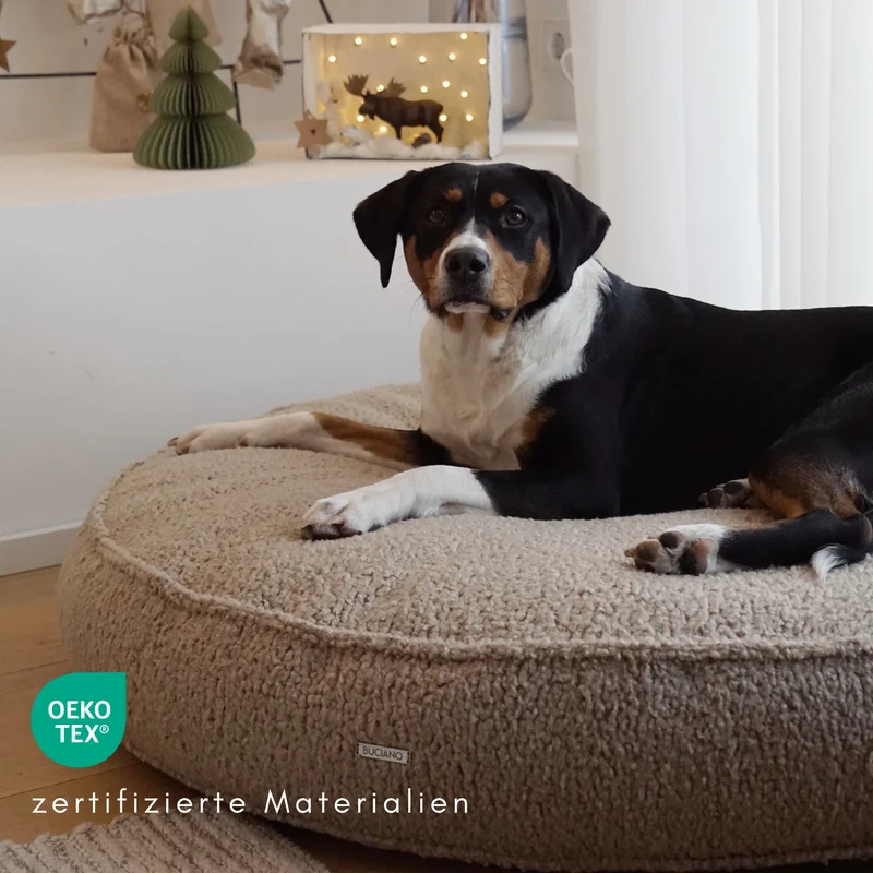Hundekissen Onda