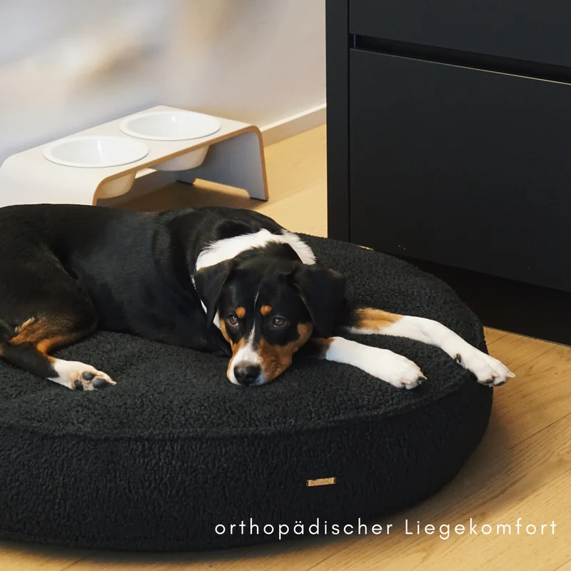 Hundekissen Onda