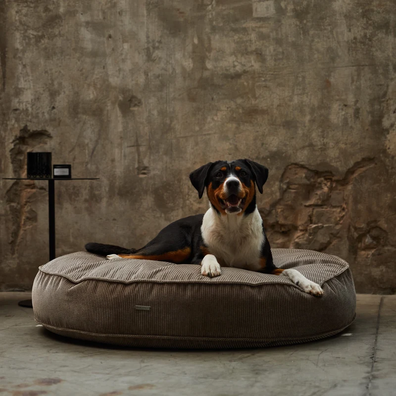 Hundekissen Mira