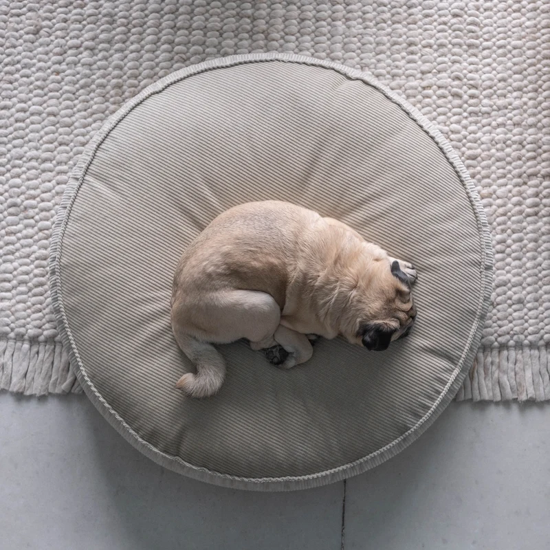 Hundekissen Mira