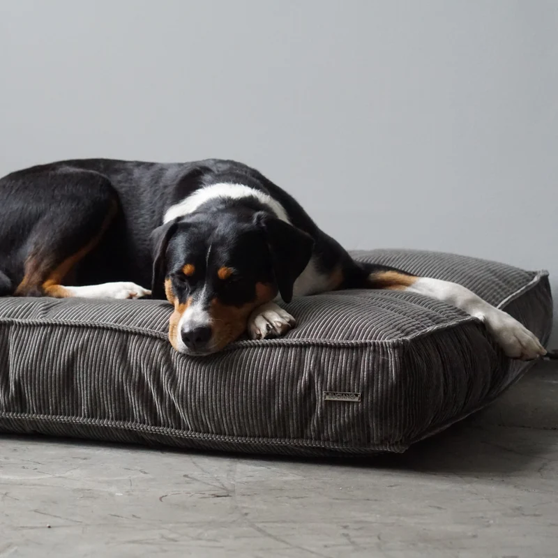 Hundekissen Leia