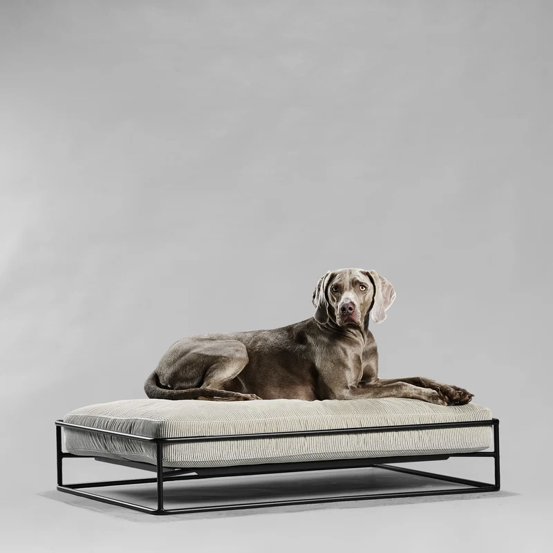 MAIA - Design Hundebett schwarz