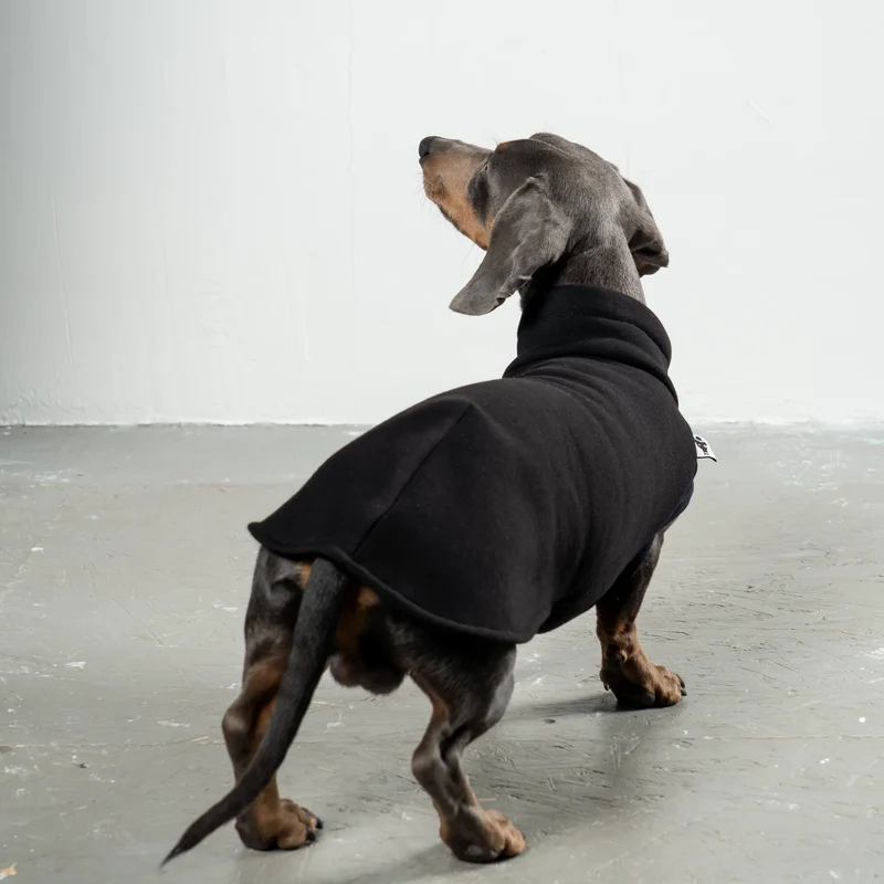 Sweat Shirt für Dackel Schwarz